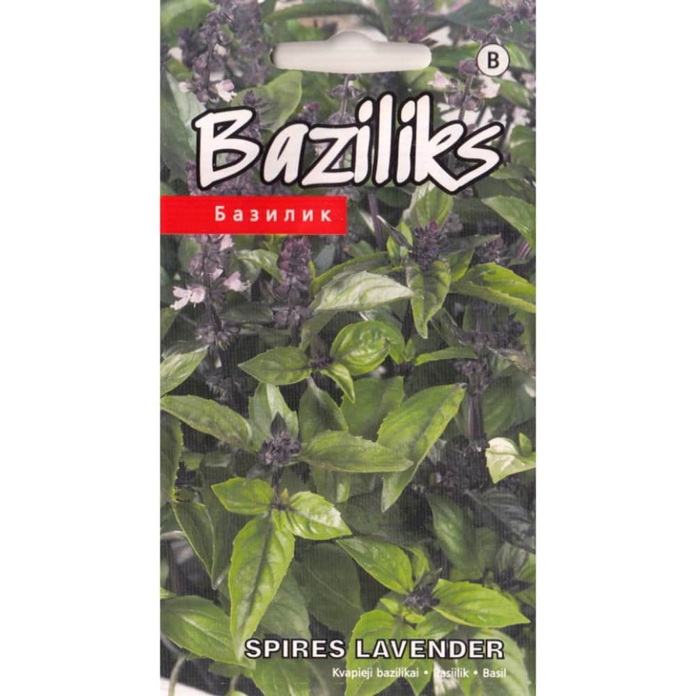 Baziliks Spires Lavender Kurzemes Sēklas