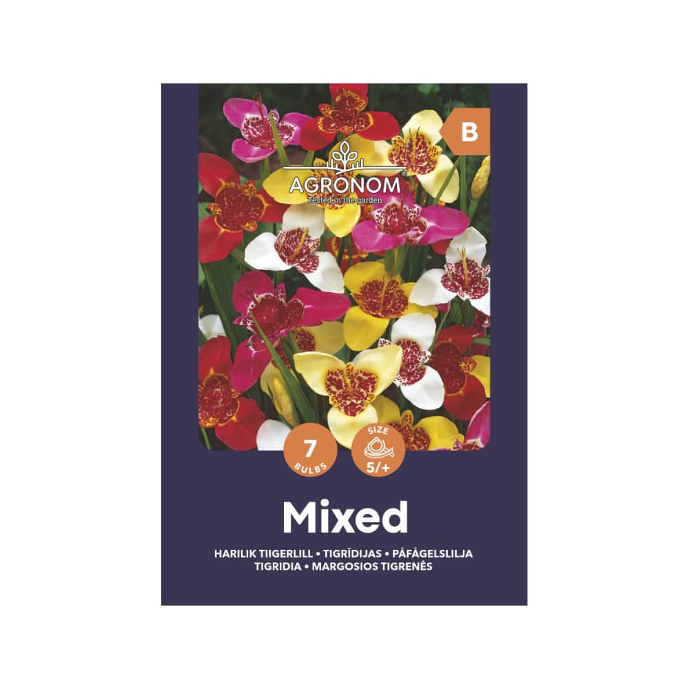 Tigrīdijas mix Agronom SG25