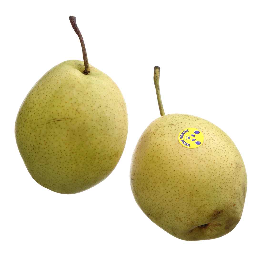 Kriaušės NASHI, 1 kl., 1 kg