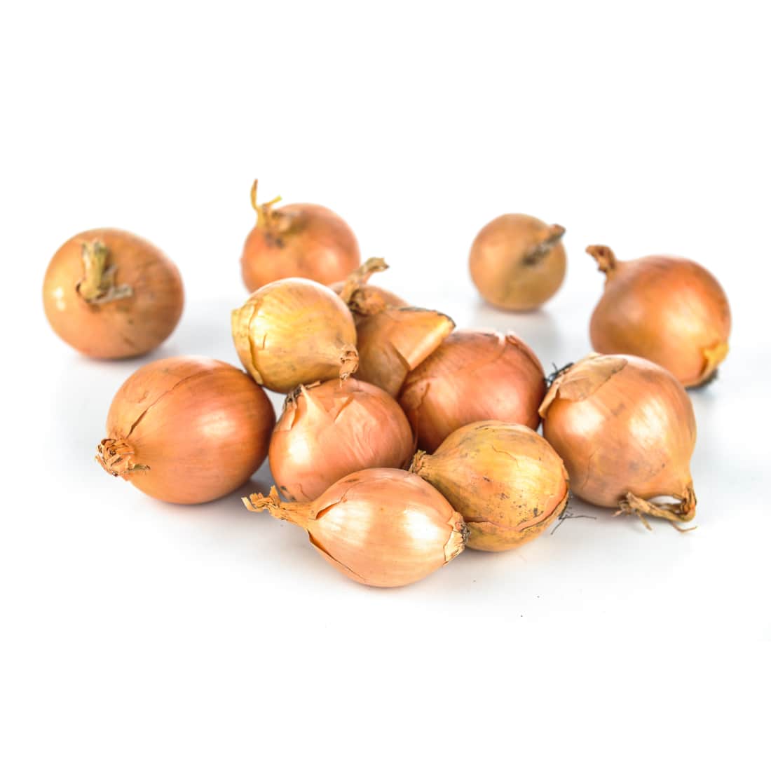 Svog. SHALLOT RED SUN sodinukai, 300g