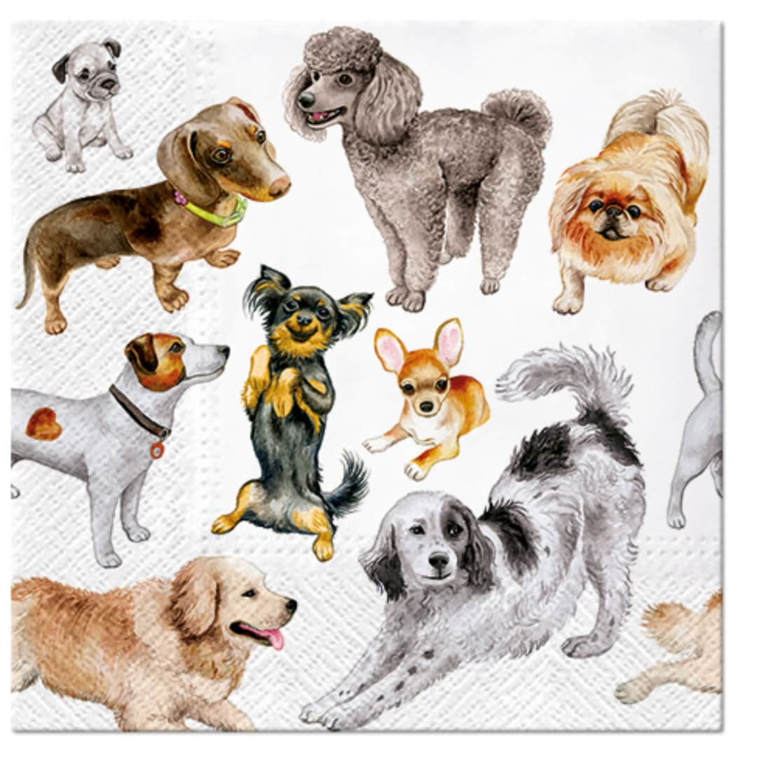 Servetėlės PAW DOGS, 33x33cm, 20pcs,SS23