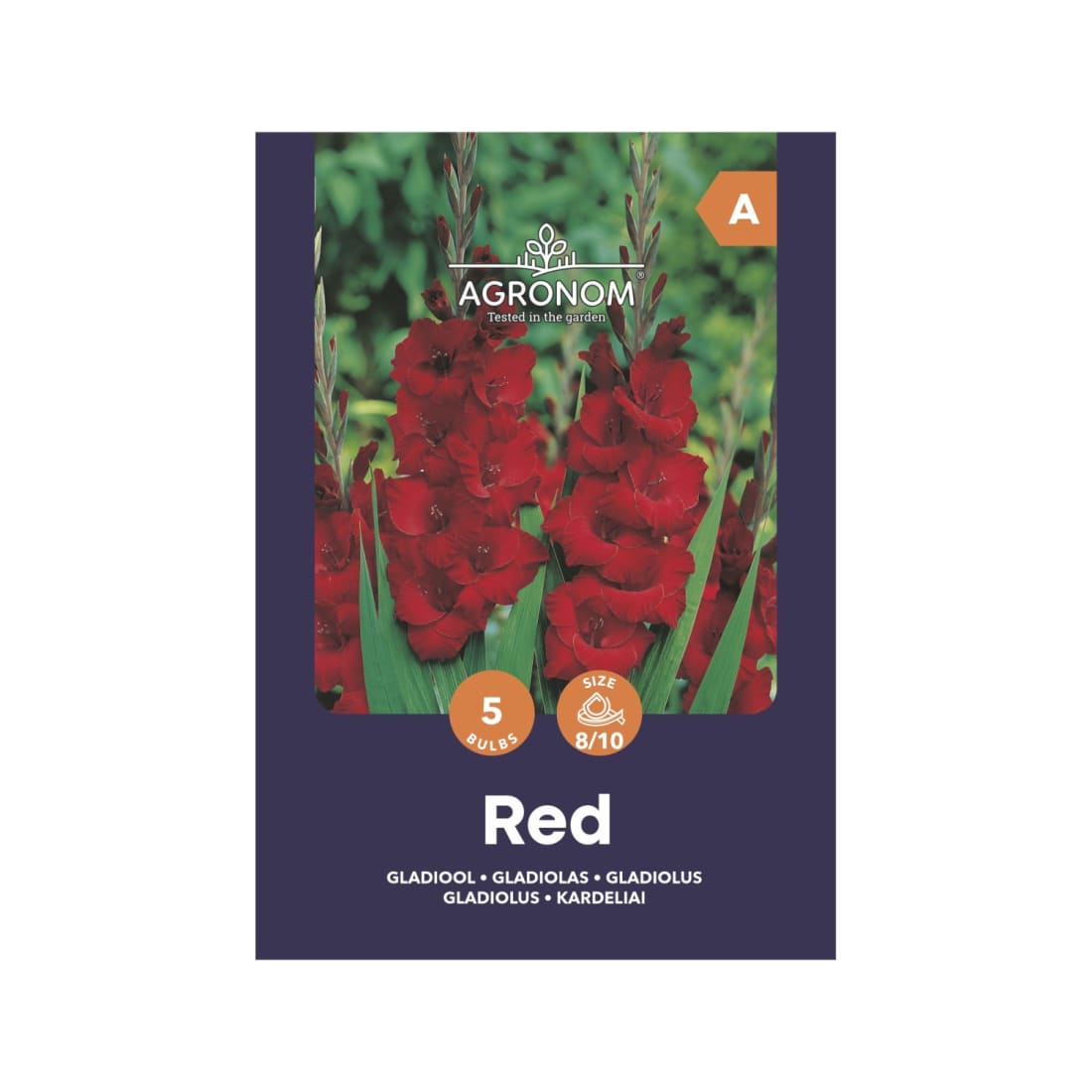 Kardeliai AGRONOM, raudoni, SG25