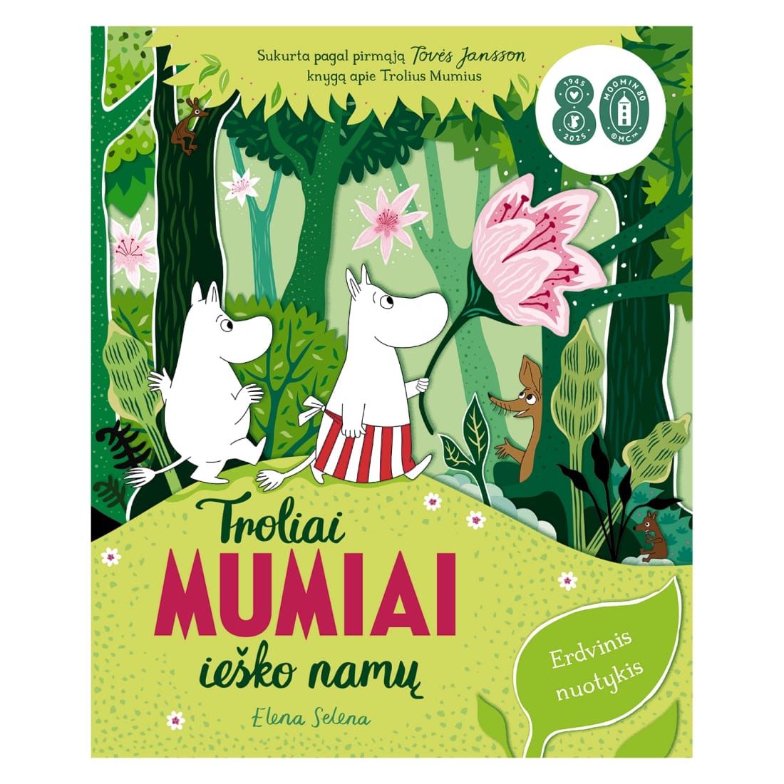 Knyga TROLIAI MUM. IEŠKO NAMŲ. ERDV. KN.