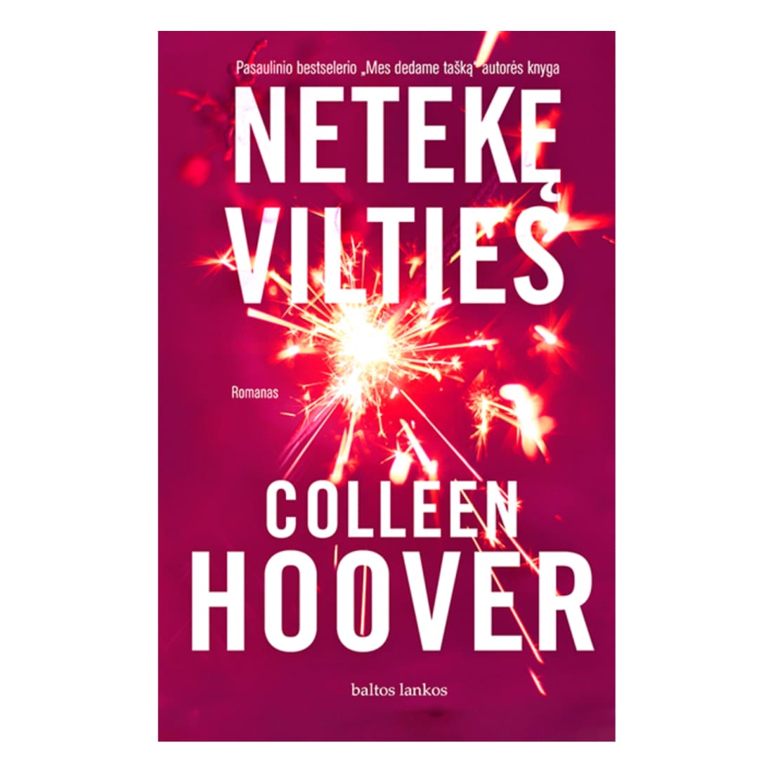 Knyga NETEKĘ VILTIES