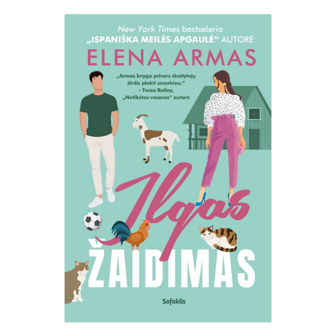 Knyga ILGAS ŽAIDIMAS