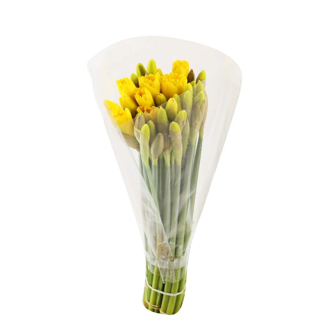 Narcizų puokštė 28cm, 30 vnt