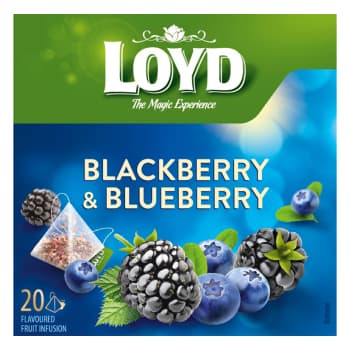 Augļu tēja LOYD kazeņu-melleņu 20x2g