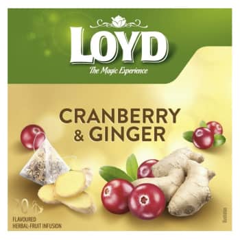 Augļu tēja LOYD dzērveņu-ingvera 20x2g