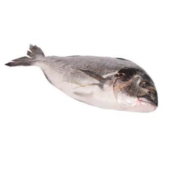 Jūras karūsa Dorada atdzesēta kg 