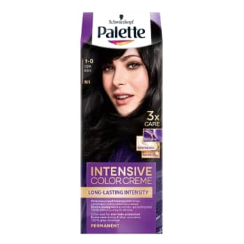 Palette ICC matu krāsa 1-0  melns