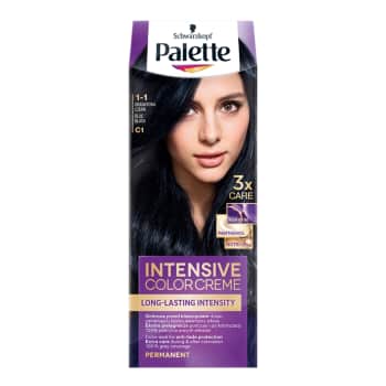 Palette ICC matu krāsa 1-1 zilganmelns 