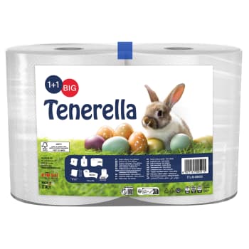 Papīra dvieļi Tenerella Double 2 ruļļi