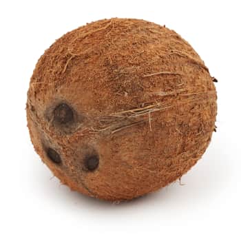 Kokosrieksts gab.