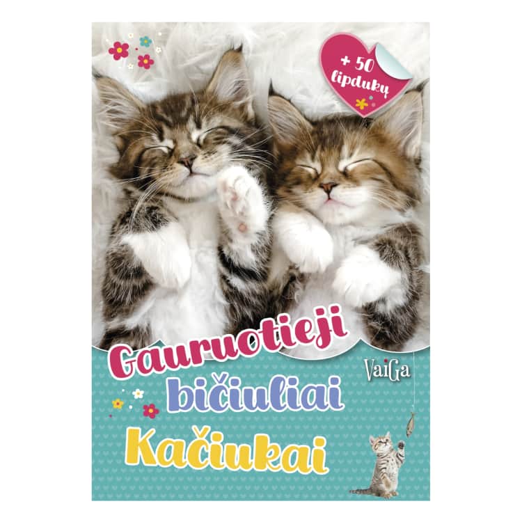 Knyga GAURUOTIEJI BIČIULIAI. KAČIUKAI