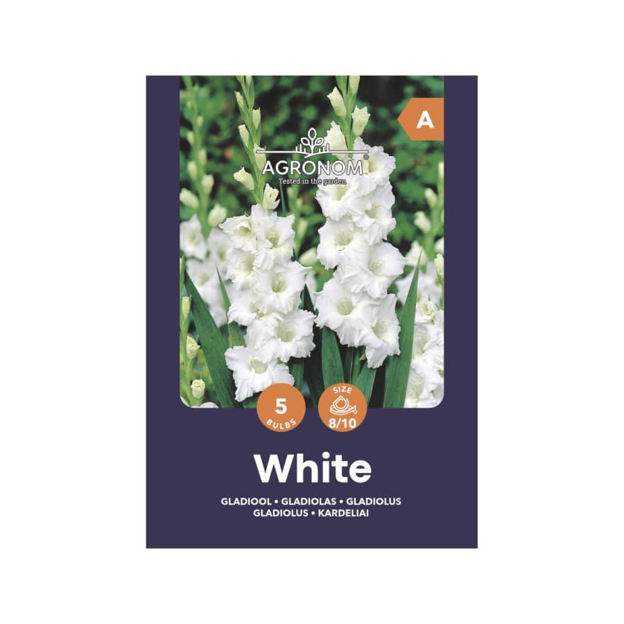 Kardeliai AGRONOM, balti, SG25