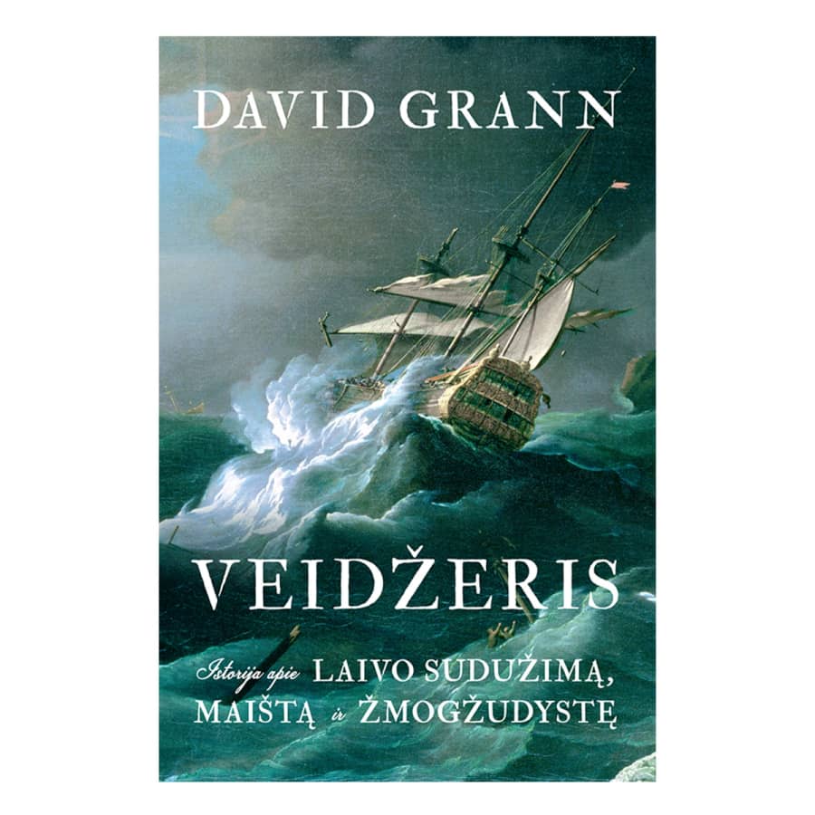 Knyga VEIDŽERIS