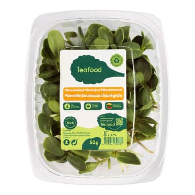Saulėgrąžų daigai, 50 g