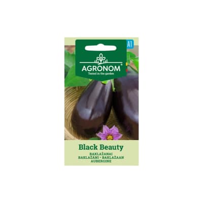 Baklažanai BLACK BEAUTY