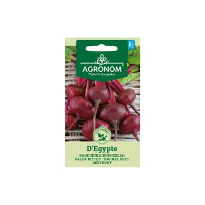 Raudonieji burokėliai D'ÉGYPTE