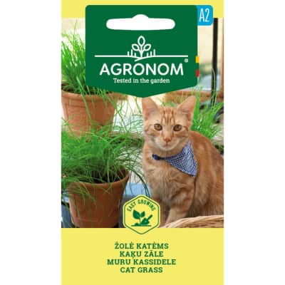 Sėklos AGRONOM Žolė katėms