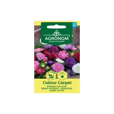 Sėklos AGRONOM Ratilių mišinys Colour Carpet