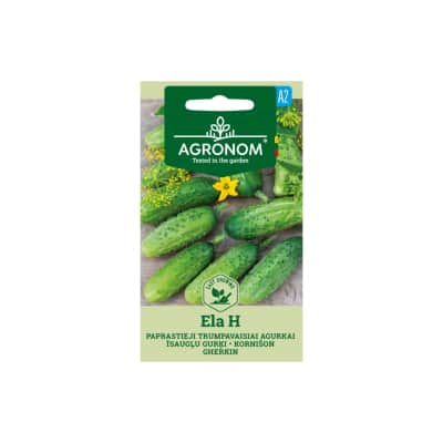 Sėklos AGRONOM Agurkai trumpavaisiai Ela H