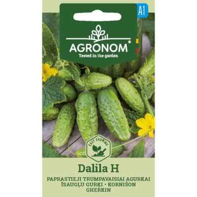 Sėklos AGRONOM Agurkai trumpavaisiai Dalila H