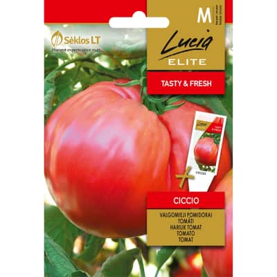 Sėklos LUCIA ELITE Pomidorai valg. Ciccio H