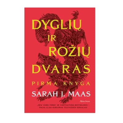 Knyga DYGLIŲ IR ROŽIŲ DVARAS. PIRMA KN.