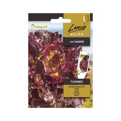 Sėklos LUCIA ELITE Salotos Florinred