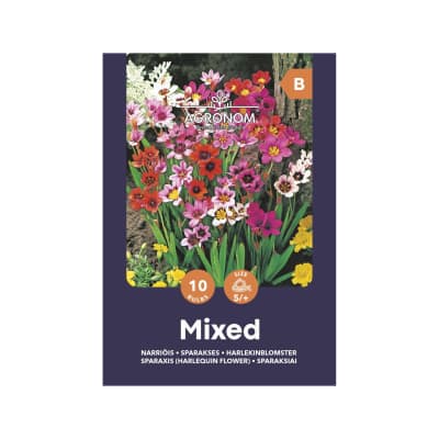 Gėlių svogūnėliai AGRONOM SPARAXIS MIX, SG25