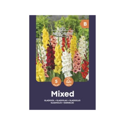 Kardeliai AGRONOM MIX, SG25
