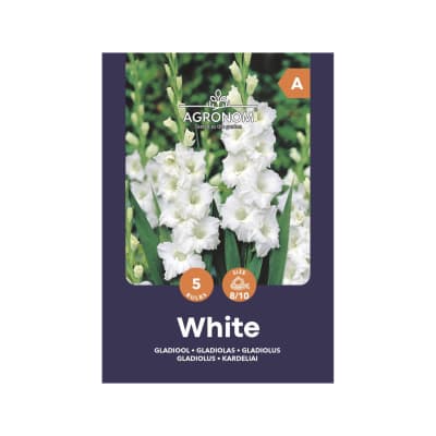 Kardeliai AGRONOM, balti, SG25