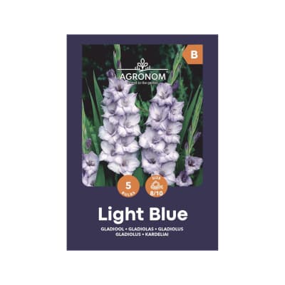 Kardeliai AGRONOM LIGHT BLUE, SG25