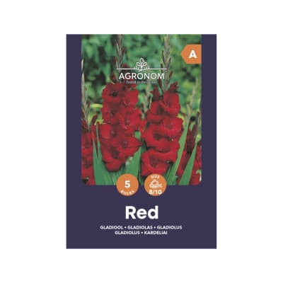 Kardeliai AGRONOM, raudoni, SG25
