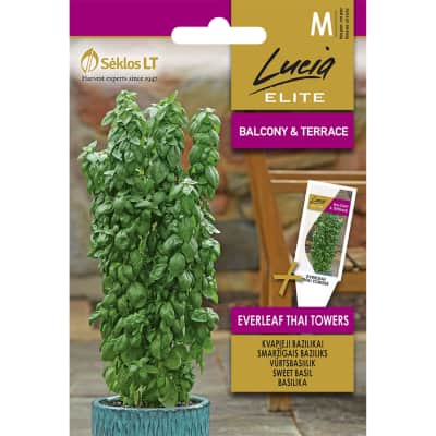 Sėklos LUCIA ELITE Bazil.Everleaf Thai