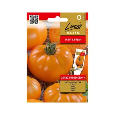 Sėkl. LUC. EL.Pomidorai Orange Wellin. H