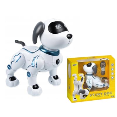 Šuo robotas LE NENG K31, SS25