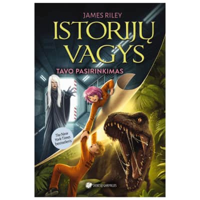 Knyga ISTORIJŲ VAGYS. TAVO PASIRINKIMAS