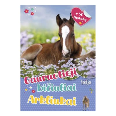 Knyga GAURUOTIEJI BIČIULIAI. ARKLIUKAI