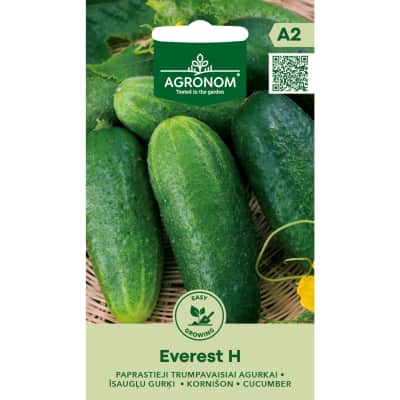 Trumpaūgiai agurkai EVEREST H