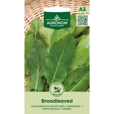 Plačialapės rūgštynės