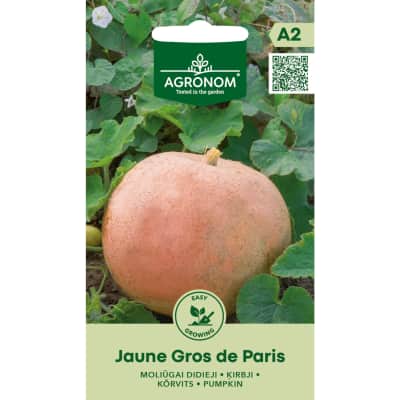 Dideli moliūgai JAUNE GROS DE PARIS