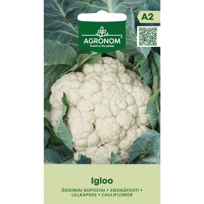 Žiediniai kopūstai IGLOO