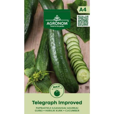 Agurkai TELEGRAPH IMPROVED