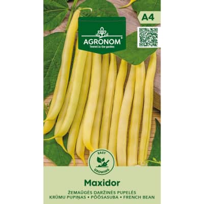 Šparaginės pupelės MAXIDOR