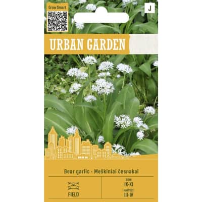 Meškinis česnakas URBAN GARDEN
