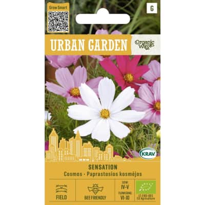 Cosmea Sensation Mix URBAN GARDEN