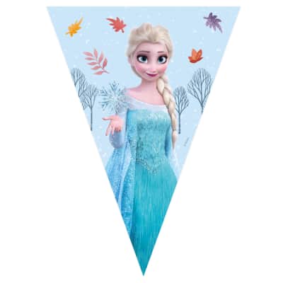 Popierinė vėliavėlė FROZEN FSC