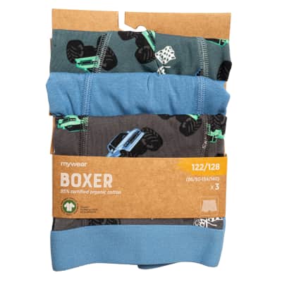 Bern. apat. MYWER AXEL CH. FLAG, 86 / 92